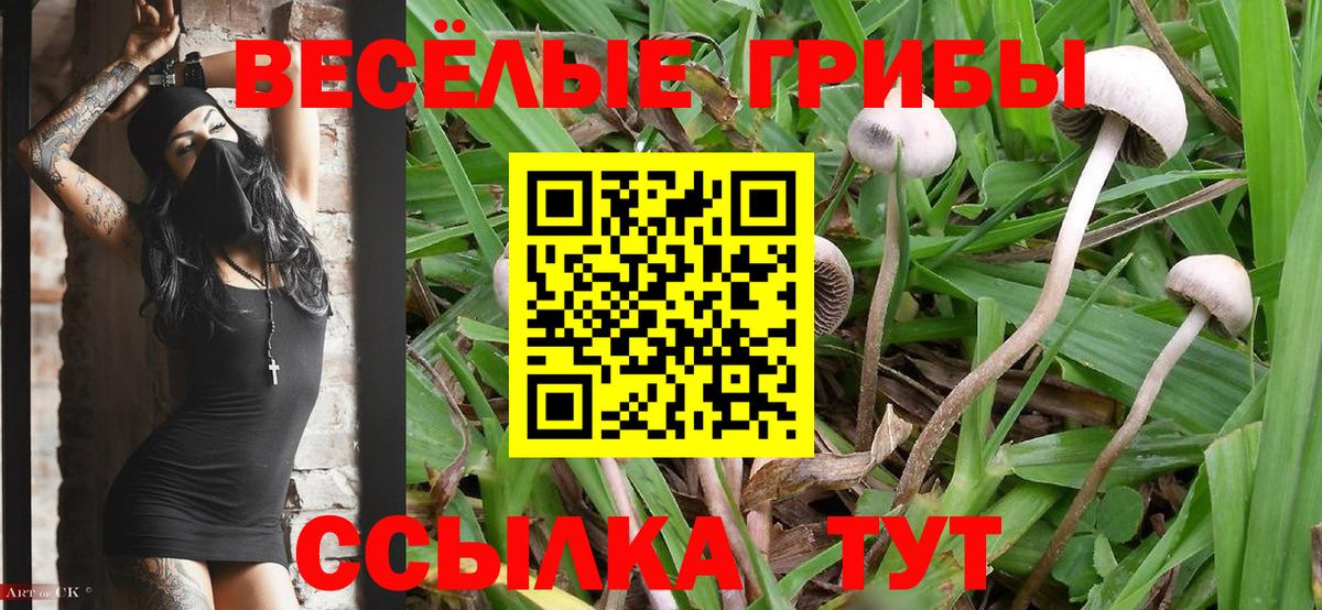 Галлюциногенные грибы Psilocybine cubensis  где купить наркотик  Первоуральск  Вход с VPN 