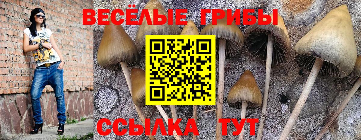 Псилоцибиновые грибы прущие грибы Первоуральск